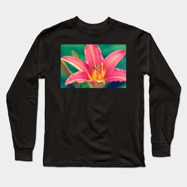 Daylily in Bloom Long Sleeve T-Shirt by InspiraImage